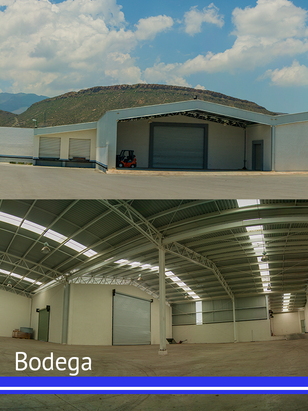 bodega-tglogistic