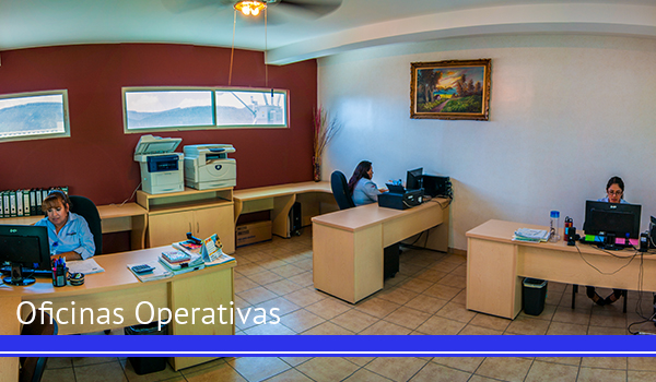 oficinas-tglogistic